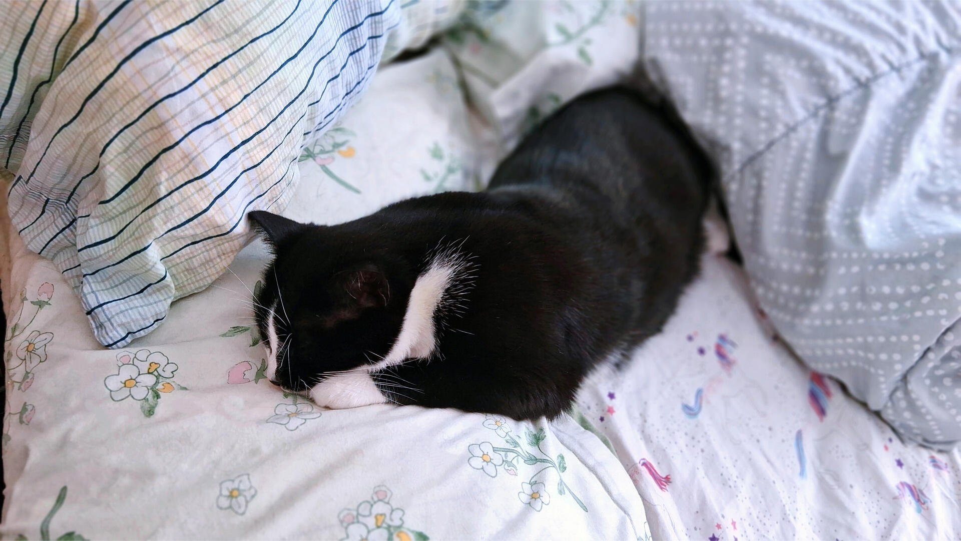 (っ- ‸ - ς)ᶻ 𝗓 𐰁